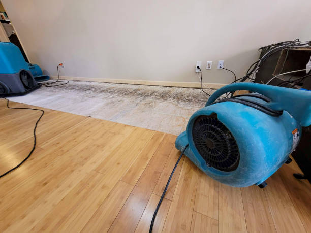 Professional Water Damage Repair technician working in Cleveland, FL